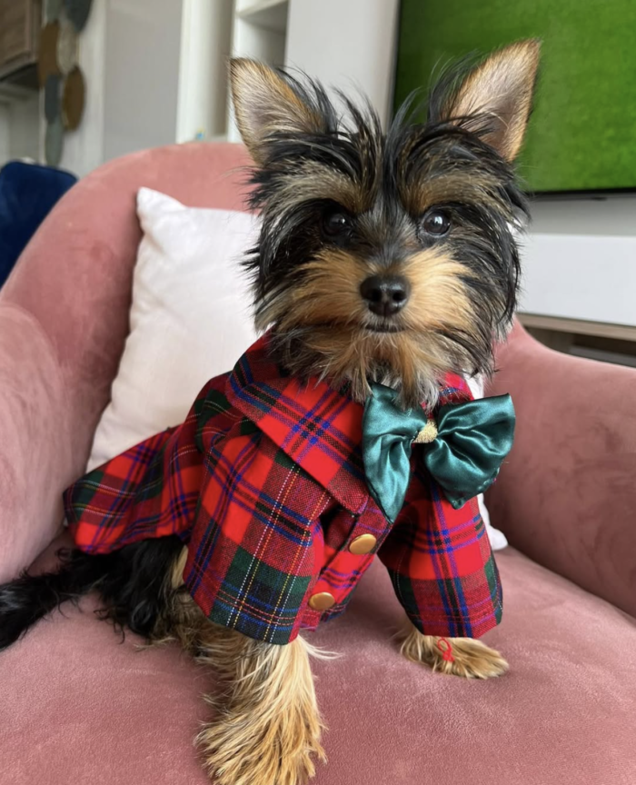 Camisa Cuadros para perro